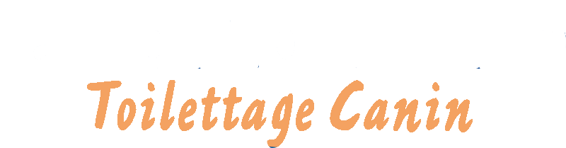 logo_blanc