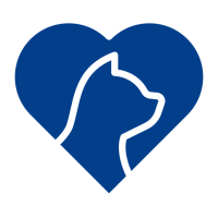 amoureux-des-chats